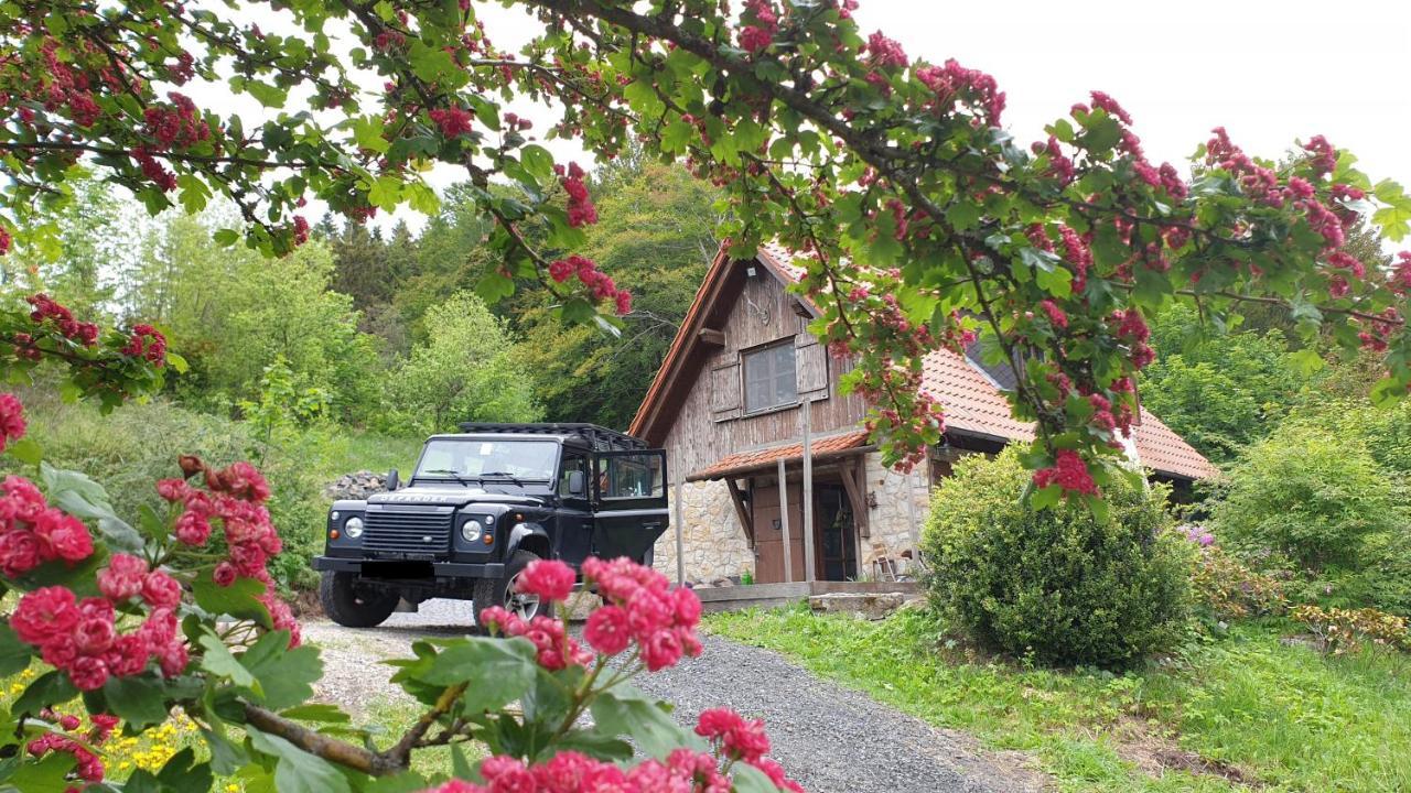 Jagdhaus In Der Rhoen In Voelliger Alleinlage Gersfeld Zewnętrze zdjęcie