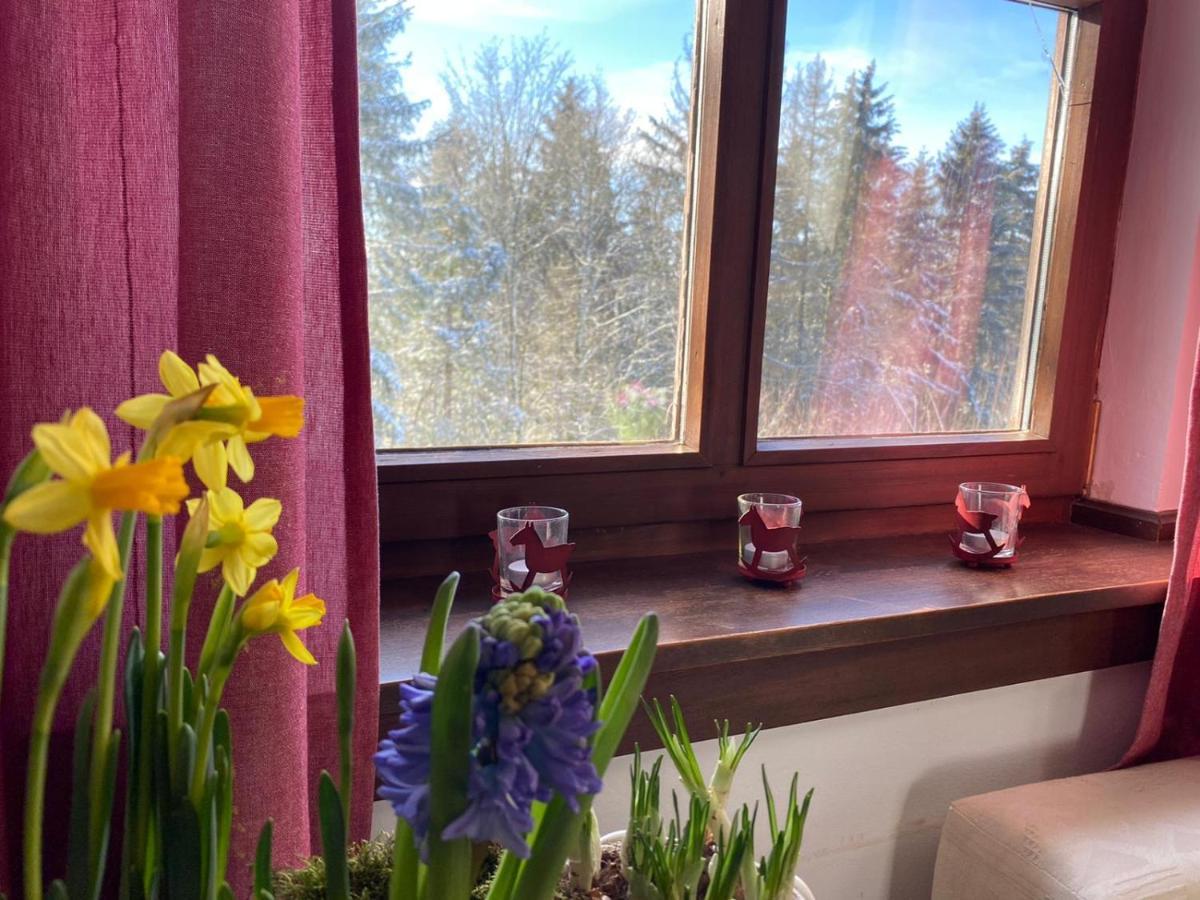 Jagdhaus In Der Rhoen In Voelliger Alleinlage Gersfeld Zewnętrze zdjęcie